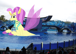 Size: 4002x2853 | Tagged: safe, artist:oceanrailroader, character:ocean flow, species:pony, species:seapony (g4), giant pony, giant seapony, irl, macro, photo, ponies in real life
