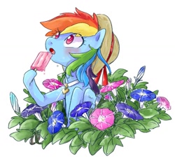 Size: 1221x1125 | Tagged: safe, artist:nota_mano, character:rainbow dash, species:pegasus, species:pony, cute, dashabetes, female, flower, food, hoof hold, jewelry, necklace, open mouth, popsicle, solo