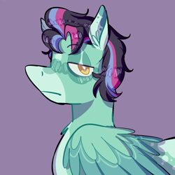Size: 1000x1000 | Tagged: safe, artist:corporalvortex, oc, oc only, oc:sky vortex, species:pegasus, species:pony, bust, coat markings, colored wings, ear fluff, icon, male, pegasus oc, serious, serious face, simple background, solo, stallion, tired eyes, wings