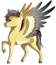 Size: 2591x3000 | Tagged: safe, artist:venommocity, character:daring do, species:pony, female, scar, solo, two toned wings, wings