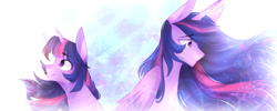 Size: 2000x800 | Tagged: safe, artist:waterz-colrxz, character:twilight sparkle, character:twilight sparkle (alicorn), character:twilight sparkle (unicorn), species:alicorn, species:pony, species:unicorn, episode:the last problem, g4, my little pony: friendship is magic, abstract background, eyebrows, eyebrows visible through hair, female, older, ponidox, princess twilight 2.0, self ponidox, smiling, solo, windswept mane, younger