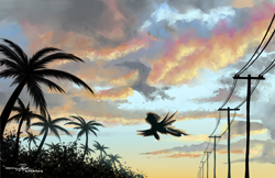 Size: 5100x3300 | Tagged: safe, artist:supermoix, species:pegasus, species:pony, afternoon, cloud, cloudy, scenery, scenery porn, solo, sunset
