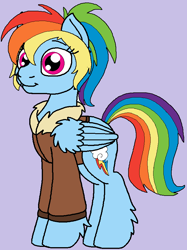 Size: 658x882 | Tagged: safe, artist:rosefang16, character:rainbow dash, species:pegasus, species:pony, astralverse, alternate hairstyle, bomber jacket, clothing, female, jacket, leg fluff, mare, ponytail, purple background, simple background, solo