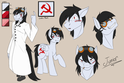 Size: 3000x2000 | Tagged: safe, artist:pi9o, oc, oc only, oc:commissar junior, species:anthro, species:pegasus, species:pony, goggles, hammer and sickle, mad scientist, male, reference sheet, scar, soviet union, stallion