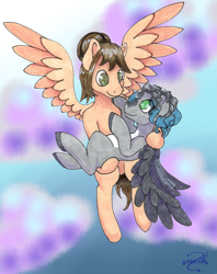 Size: 2619x3299 | Tagged: safe, artist:lechu-zaz, oc, species:pegasus, species:pony, commission, flying, looking at each other