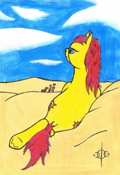 Size: 742x1077 | Tagged: safe, artist:assertiveshypony, oc, oc:sunrunner, species:earth pony, species:pony, blue sky, desert, drawing