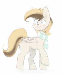 Size: 1600x1925 | Tagged: safe, artist:c0pter, oc, oc:coffe, species:pegasus, species:pony, clothing, pegasus oc, scarf, simple background, solo, white background