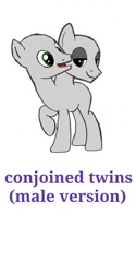 Size: 1080x2160 | Tagged: safe, artist:calebtyink, species:earth pony, species:pony, (male) base, base, conjoined, conjoined twins, male, multiple heads, stallion, template, two heads