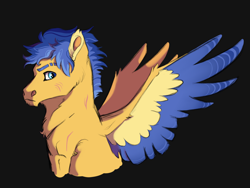 Size: 4000x3000 | Tagged: safe, artist:venommocity, character:flash sentry, species:pony, bust, male, portrait, solo, two toned wings, wings