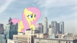 Size: 2643x1500 | Tagged: safe, artist:andoanimalia, artist:theotterpony, character:fluttershy, species:pegasus, species:pony, building, city, collage, female, giant pony, giantess, highrise ponies, irl, los angeles, macro, mare, mega fluttershy, mega giant, photo, photoshop, ponies in real life, story included