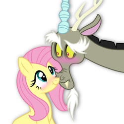 Size: 768x768 | Tagged: safe, artist:delfinaluther, character:discord, character:fluttershy, species:draconequus, species:pegasus, species:pony, ship:discoshy, blushing, boop, cute, discute, female, looking at each other, male, mare, nose wrinkle, noseboop, scrunchy face, shipping, show accurate, shyabetes, simple background, straight, white background, wingless