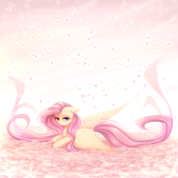 Size: 2000x2000 | Tagged: safe, artist:avrameow, character:fluttershy, species:pegasus, species:pony, cute, digital art, female, floppy ears, flower petals, looking at you, mare, prone, shyabetes, solo, spread wings, three quarter view, wings