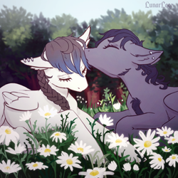 Size: 800x800 | Tagged: safe, artist:lunarlacepony, oc, oc only, oc:silver strings, oc:uchawi, species:pegasus, species:pony, beautiful, braid, commission, cute, flower, gentle, kissing, lying down, nature, outdoors, piercing, prone, ych result