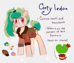 Size: 1300x1100 | Tagged: safe, artist:_mpiesocks, species:pony, adopts, cactus, clothing, jacket