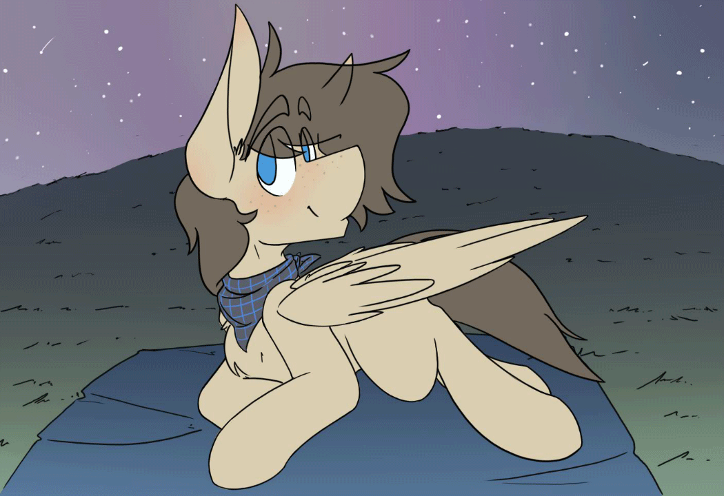 Size: 1050x720 | Tagged: safe, artist:kirbirb, oc, oc only, oc:snaggletooth, species:pegasus, species:pony, animated, blinking, frame by frame, freckles, night, night sky, sky, stargazing, tail wag