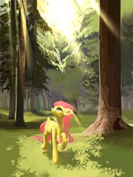 Size: 1626x2160 | Tagged: safe, artist:yanisfucker, character:fluttershy, species:pegasus, species:pony, crepuscular rays, female, forest, solo, tree