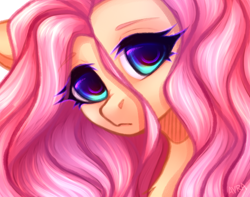 Size: 974x766 | Tagged: safe, artist:avrameow, character:fluttershy, species:pegasus, species:pony, bust, cute, female, looking at you, mare, portrait, shyabetes, solo, stray strand, three quarter view