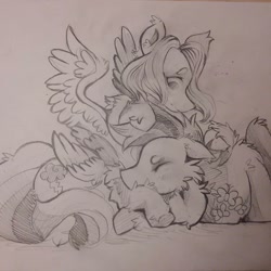 Size: 1080x1080 | Tagged: safe, artist:c_owokie, character:fluttershy, character:rainbow dash, species:pegasus, species:pony, ship:flutterdash, duo, eyes closed, female, fluffy, lesbian, lineart, mare, monochrome, prone, shipping, snuggling, traditional art