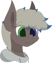 Size: 4671x5611 | Tagged: safe, artist:skylarpalette, oc, oc only, oc:silver lining, species:earth pony, species:pony, big ears, cheek fluff, clothing, ear fluff, earth pony oc, fluffy, hoodie, looking forward, male, simple background, simple shading, stallion, transparent background, wat, worry