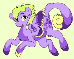Size: 994x800 | Tagged: safe, artist:c_owokie, oc, oc only, species:pegasus, species:pony, chest fluff, pegasus oc, solo, unshorn fetlocks, wings