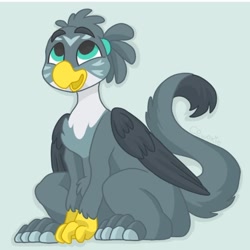 Size: 800x800 | Tagged: safe, artist:c_owokie, character:gabby, species:griffon, blue background, female, looking up, simple background, sitting, solo