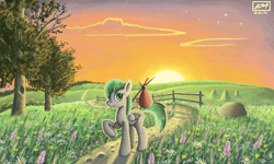 Size: 854x512 | Tagged: safe, artist:dreamyskies, oc, oc only, oc:dreamer skies, species:pegasus, species:pony, g4, 3ds, beautiful, cloud, fence, field, flower, folded wings, home, hope, looking at you, male, outdoors, peaceful, pegasus oc, scenery, scenery porn, signature, sky, smiling, solo, stallion, stars, sunrise, travelling, tree, wings