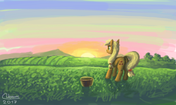 Size: 854x512 | Tagged: safe, artist:dreamyskies, character:applejack, g4, bucket, female, field, grass, morning, quick draw, scenery, signature, simple background, sketch, solo, sunrise