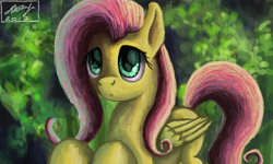 Size: 854x512 | Tagged: safe, artist:dreamyskies, character:fluttershy, species:pony, g4, complex background, cute, female, innocent, looking up, mare, shy, wings