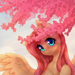 Size: 2000x2000 | Tagged: safe, artist:avrameow, character:fluttershy, species:pegasus, species:pony, g4, cherry tree, cute, female, mare, shyabetes, solo, tree