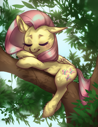 Size: 2290x2980 | Tagged: safe, artist:taytinabelle, character:fluttershy, species:pegasus, species:pony, g4, crossed hooves, cute, ear fluff, eyes closed, female, floppy ears, leaves, mare, shading, shadow, shyabetes, sleeping, solo, tree, tree branch, unshorn fetlocks