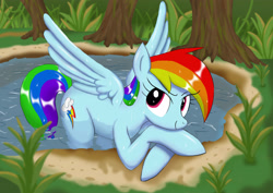 Size: 3508x2480 | Tagged: safe, artist:neoshrek, character:rainbow dash, species:pegasus, species:pony, g4, crossed hooves, cute, dashabetes, female, forest, mare, pond, smiling, solo, spread wings, water, wet, wings