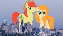 Size: 2600x1500 | Tagged: safe, artist:jhayarr23, artist:theotterpony, edit, character:bright mac, character:pear butter, species:earth pony, species:pony, g4, city, clothing, cowboy hat, duo, female, freckles, giant earth pony, giant ponies in real life, giant pony, hat, highrise ponies, husband and wife, irl, macro, male, photo, ponies in real life, seattle, stetson, story in the source, story included, vector, vector edit