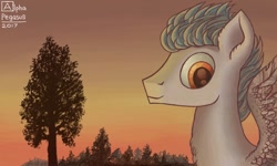 Size: 854x512 | Tagged: safe, artist:dreamyskies, oc, oc:niveous, species:pegasus, species:pony, g4, big eyes, bust, complex background, detailed, detailed background, forest, forest background, looking at you, pegasus oc, pony oc, portrait, scenery, signature, smiley face, spread wings, sunset, tree, wings