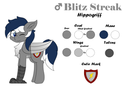 Size: 8000x6000 | Tagged: safe, artist:skylarpalette, oc, oc only, oc:blitz streak, species:hippogriff, species:pony, g4, big wings, cheek fluff, chest fluff, colored, cute, ear fluff, flat colors, fluffy, hippogriff oc, male, one eye closed, reference sheet, simple background, stallion, standing, talons, transparent background, wings, wink