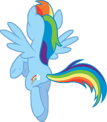 Size: 6022x6867 | Tagged: safe, artist:birthofthepheonix, character:rainbow dash, absurd resolution, female, simple background, solo, transparent background, vector