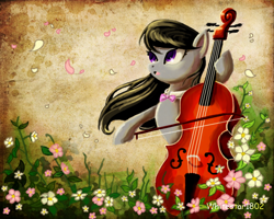 Size: 1000x801 | Tagged: safe, artist:whitestar1802, character:octavia melody, species:pony, bipedal, cello, female, flower, musical instrument, solo