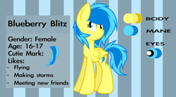 Size: 5535x3048 | Tagged: safe, artist:blueblitzie, oc, oc only, oc:blueberry blitz, species:pegasus, species:pony, reference sheet, solo