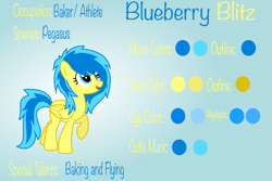 Size: 4487x3000 | Tagged: safe, artist:blueblitzie, oc, oc only, oc:blueberry blitz, species:pegasus, species:pony, reference sheet, solo