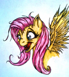 Size: 1395x1572 | Tagged: safe, artist:tomek2289, character:fluttershy, fangs, traditional art