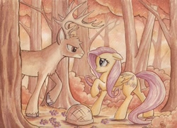 Size: 1024x742 | Tagged: safe, artist:the-wizard-of-art, character:fluttershy, species:deer, species:pegasus, species:pony, basket, buck, cloven hooves, duo, female, flower, forest, male, mare, raised hoof, stag, traditional art, watercolor painting, whitetail deer, whitetail woods