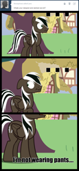 Size: 1444x3146 | Tagged: safe, artist:spectty, oc, oc only, species:pegasus, species:pony, ask, tumblr