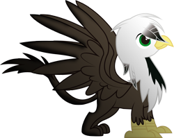 Size: 3586x2861 | Tagged: safe, artist:spectty, oc, oc only, species:griffon, solo
