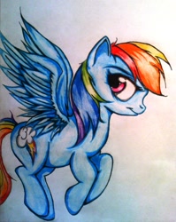 Size: 1235x1554 | Tagged: safe, artist:tomek2289, character:rainbow dash, traditional art
