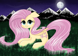 Size: 3500x2500 | Tagged: safe, artist:mite-lime, character:fluttershy, female, solo