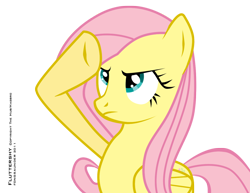 Size: 1000x771 | Tagged: safe, artist:fongsaunder, edit, character:fluttershy, rainbow dash salutes, recolor, salute, simple background, transparent background