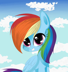 Size: 1024x1089 | Tagged: safe, artist:mite-lime, character:rainbow dash, female, grin, smiling, solo