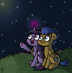 Size: 681x687 | Tagged: safe, artist:milchik, character:flash sentry, character:twilight sparkle, character:twilight sparkle (alicorn), species:alicorn, species:pony, ship:flashlight, female, hug, male, mare, night sky, shipping, straight, winghug