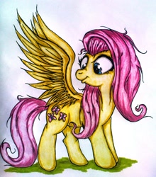 Size: 1458x1655 | Tagged: safe, artist:tomek2289, character:fluttershy, species:pegasus, species:pony, female, looking at self, looking at something, mare, messy mane, solo, spread wings, standing, traditional art, wings