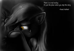 Size: 1024x717 | Tagged: safe, artist:hereticofdune, character:derpy hooves, species:pegasus, species:pony, crying, derpygate, female, frank herbert, mare, monochrome, neo noir, partial color, quote, sad, solo, tragic