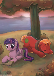 Size: 600x849 | Tagged: safe, artist:piripaints, character:big mcintosh, character:twilight sparkle, character:twilight sparkle (alicorn), species:alicorn, species:pony, ship:twimac, book, female, male, mare, reading, shipping, sleeping, straight, tree